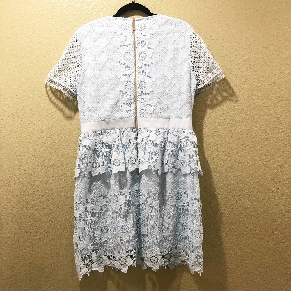 Ted Baker Dixa Layered Lace Skater Dress - Picture 5 of 15